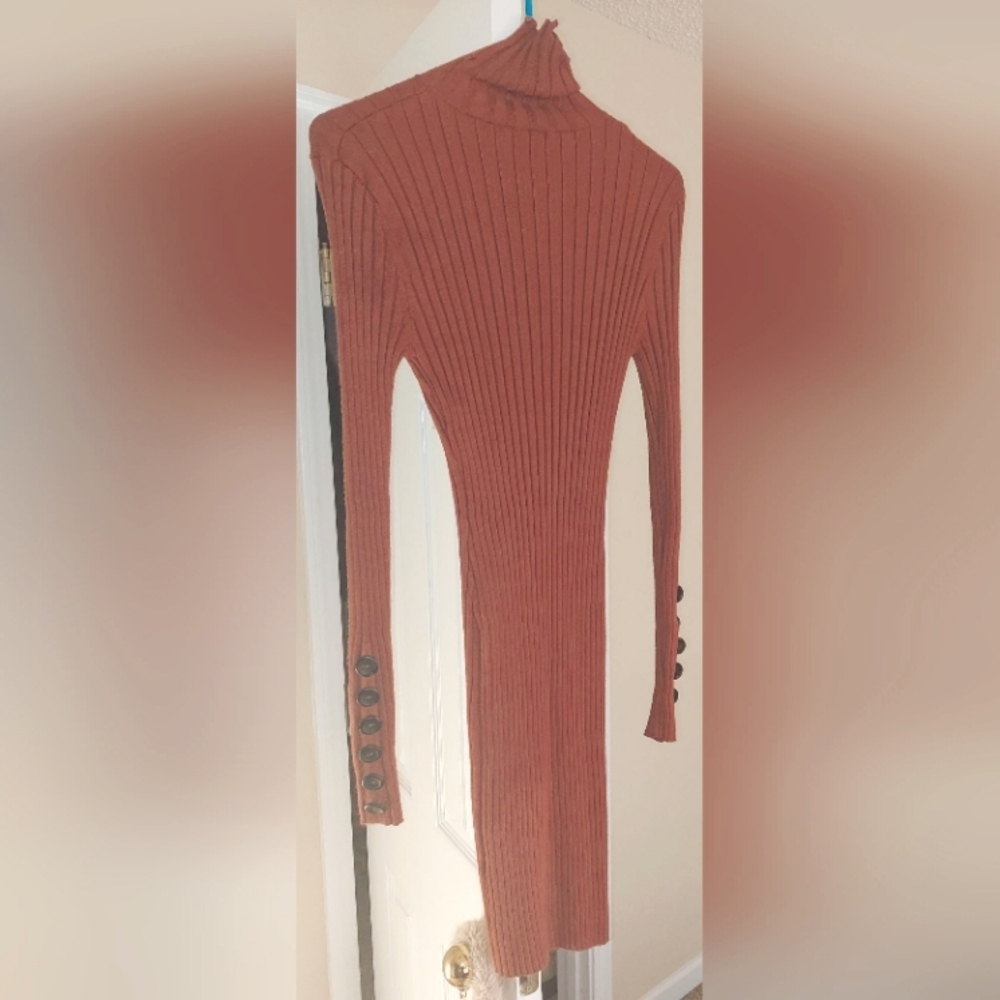 Rustic TurtleNeck Sweater Dress